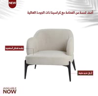 كرسي فخم مع تكاية عدة ألوان