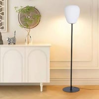 انارة ارضية لون اسود