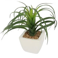 زرع صناعي حوض