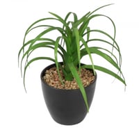 زرع صناعي حوض أسود