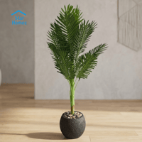 اسود
