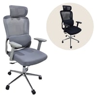 طقم 2كرسي مكتب عدة الوان