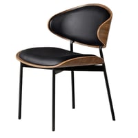 طقم 2 كراسي مودرن خشب لون أسود