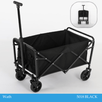 عربية تطبق لون أسود