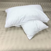 مخدة كنجارو