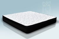 مرتبة ترند + عازل حماية