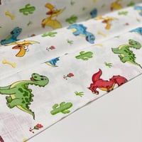 براري الدينصور