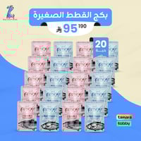 بكج القطط الصغيرة