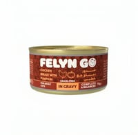 فلاين قو طعام رطب للقطط بالدجاج مع الياقطين في الم...