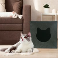 بيت قطط سعيد