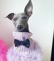 ملابس كلاب و قطط Fluffy