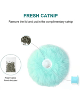 Fluffy Catnip