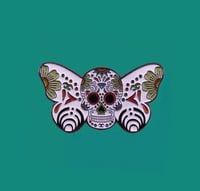 فراشة جمجمة