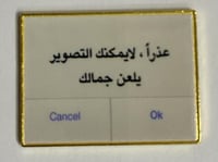 ستيكر معدني عذرا لا يمكنك التصوير يلعن جمالك