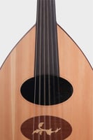 عود مصري - محمود داغر