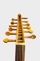 عود مصري - للمبتدئين