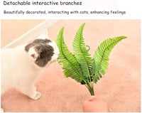 بيت للقطط مع خداشة