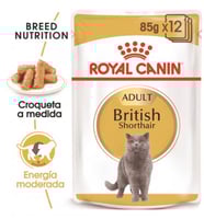 Royal Canin British Shorthair Adult Wet Cat Food 8...