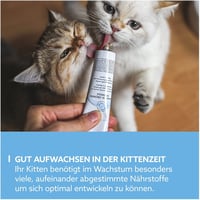 فیتامین للقطط الصغیرة من جيم كات - 50 غرام