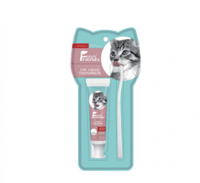 فريش فريندز معجون اسنان وفرشاة للقطط 45جم