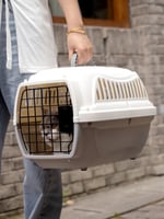 قفص تنقل للقطط باب حديد بالقفل