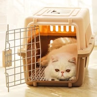 ناقل كبير للقطط