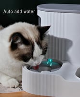 مشربية ومأكلية للقطط