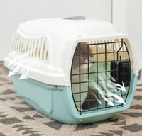 قفص تنقل للقطط باب حديد بالقفل