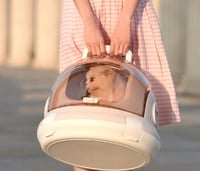 ناقل قطط بشكل عصري