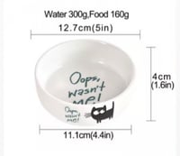 صحن فخار للقطط