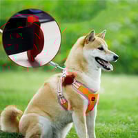 حامل ايرتاج لاطواق الكلاب والقطط من توميسي - متوفر...