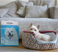 مفارش صحية للقطط والكلاب 20 قطع 60X60 سم