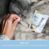 جيم كات وجبة خفيفة بطعم الحليب للقطط ، 40 غم