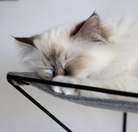 دي اند دي هوم اوليفر سرير للقطط- رمادي