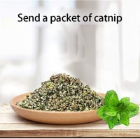 خداشة على شكل سيارة من الورق المقوى