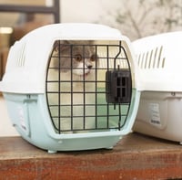 قفص تنقل للقطط باب حديد بالقفل