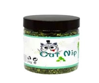 كاتنيب طبيعي محفّز للقطط