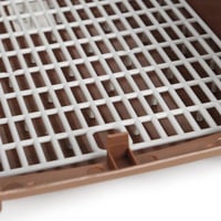 ناقل كبير للقطط