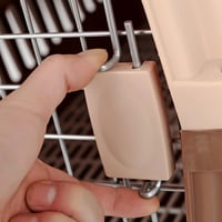 ناقل كبير للقطط