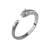 اسوارة كارتير النمر