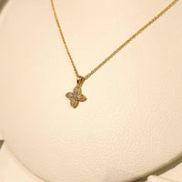 سلسال روبرتو كوين ذهبي زركون