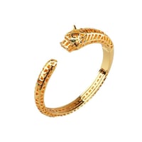 اسوارة كارتير النمر