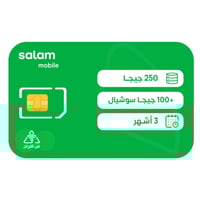 شريحة بيانات سلام 250 جيجا + 100 جيجا بيانات تواصل...