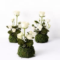 ورد طاولة خدمة طبيعي