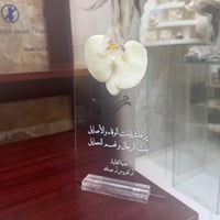 استاند اهداء عروس