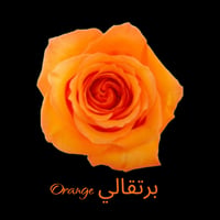 برتقالي Orange