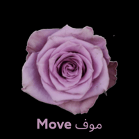 Move