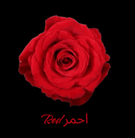 احمر Red