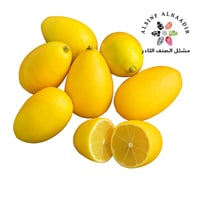 شتلات ليمون ليموكوات لايفا عمر 18 شهر