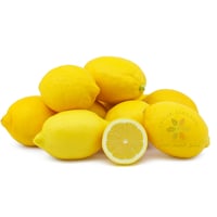 شتلات ليمون يوريكا عمر 18 شهر